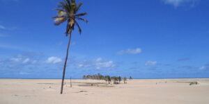 Praia de Arambipe