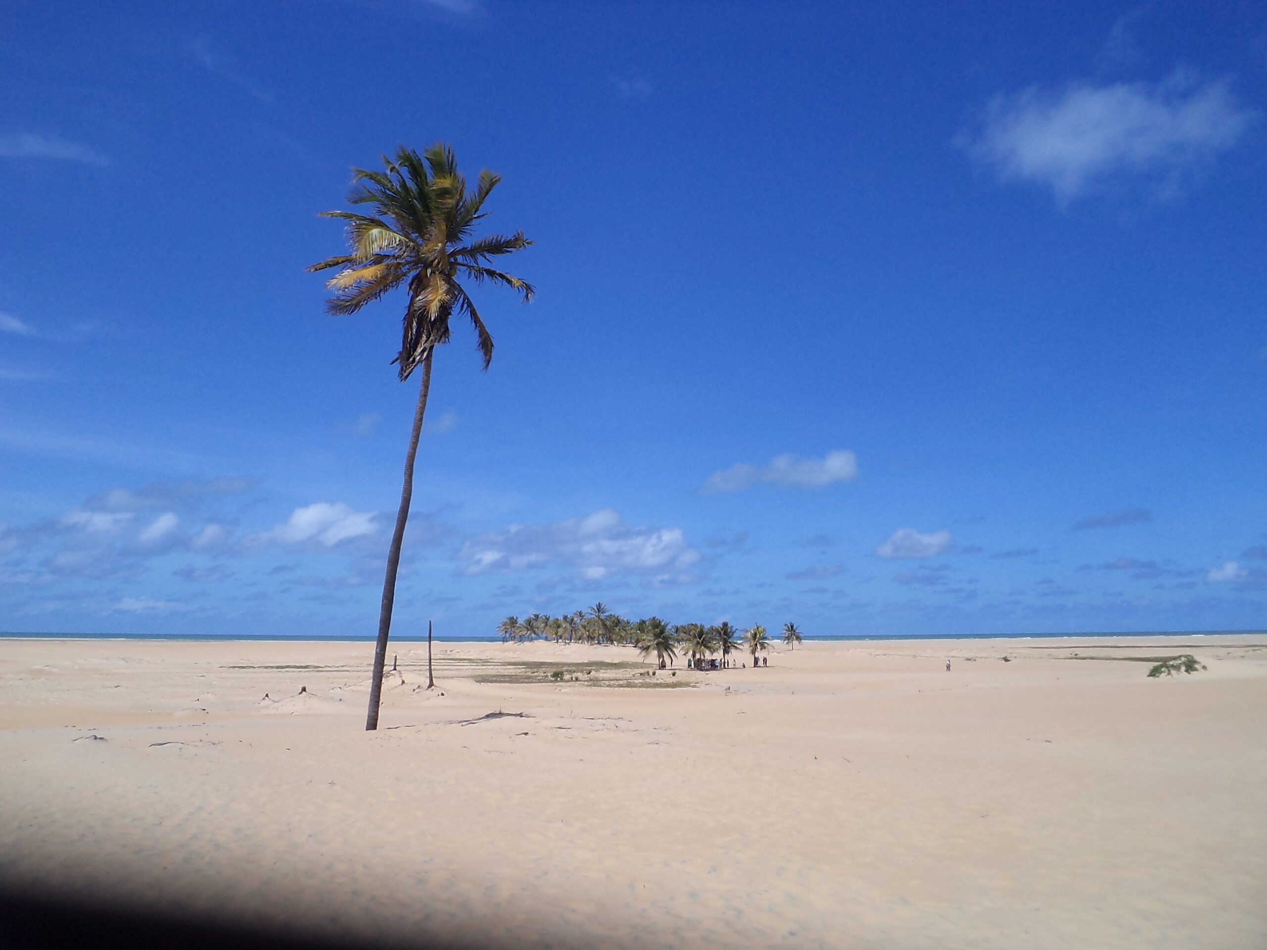 No momento, você está visualizando Praia de Arambipe