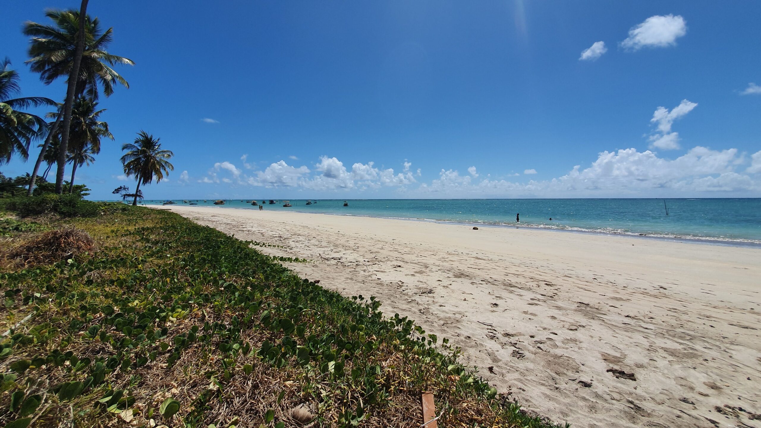 No momento, você está visualizando Praia de São Miguel dos Milagres