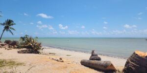 Praia Tatuamunha
