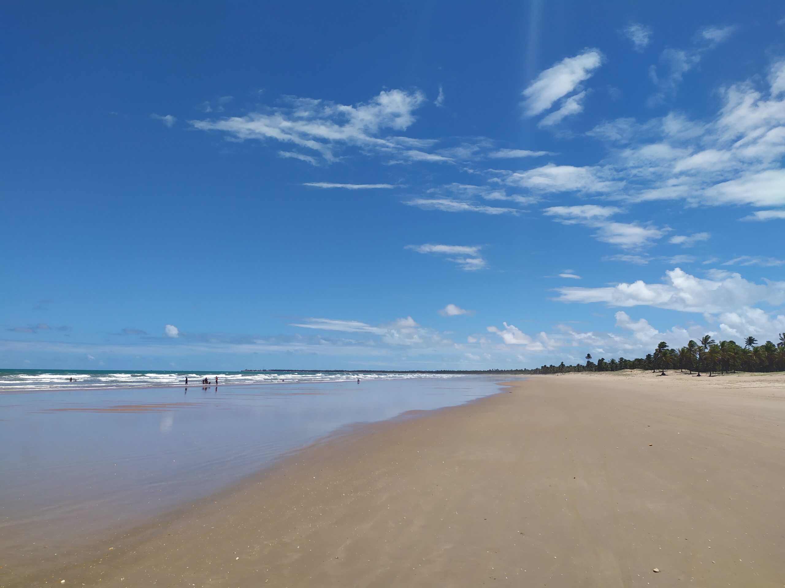 No momento, você está visualizando Praia do Toco