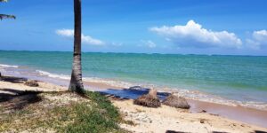 Praia de Tatuamanha – Rota Ecológica dos Milagres