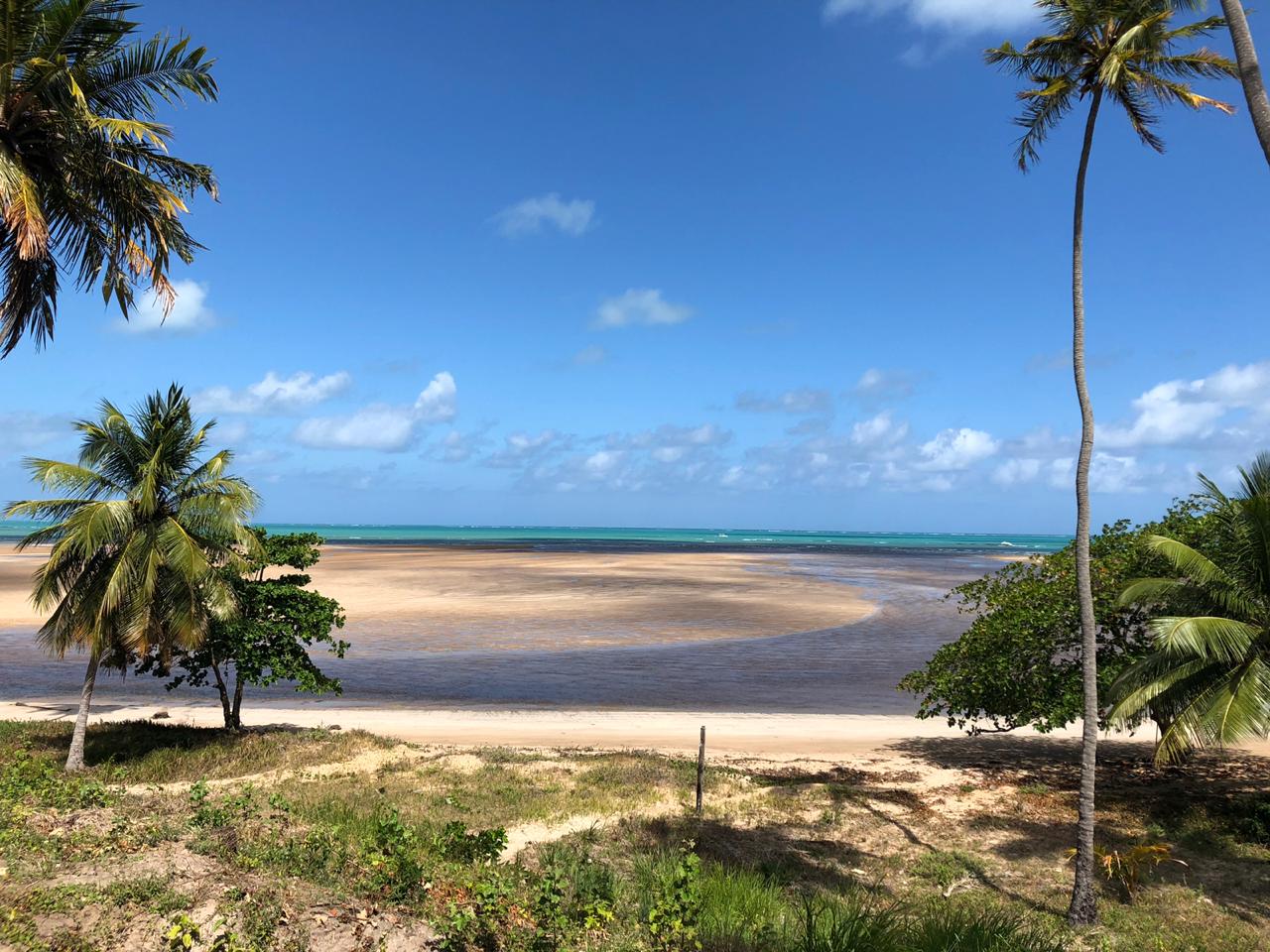 No momento, você está visualizando Praia Do Camacho