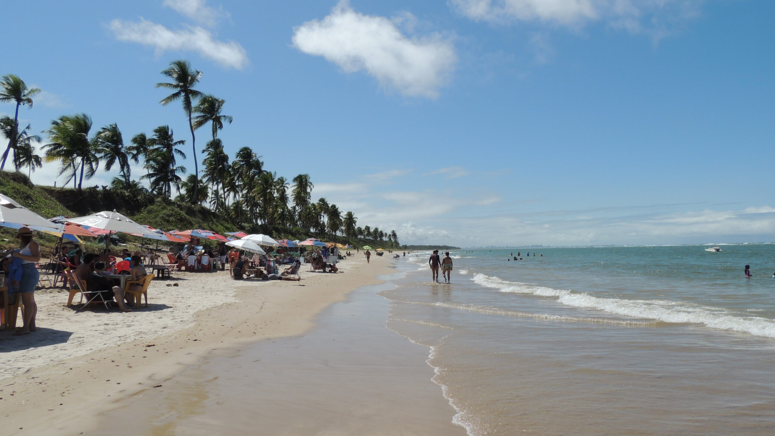 No momento, você está visualizando French’s Beach