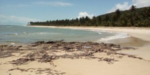Praia de Pituba