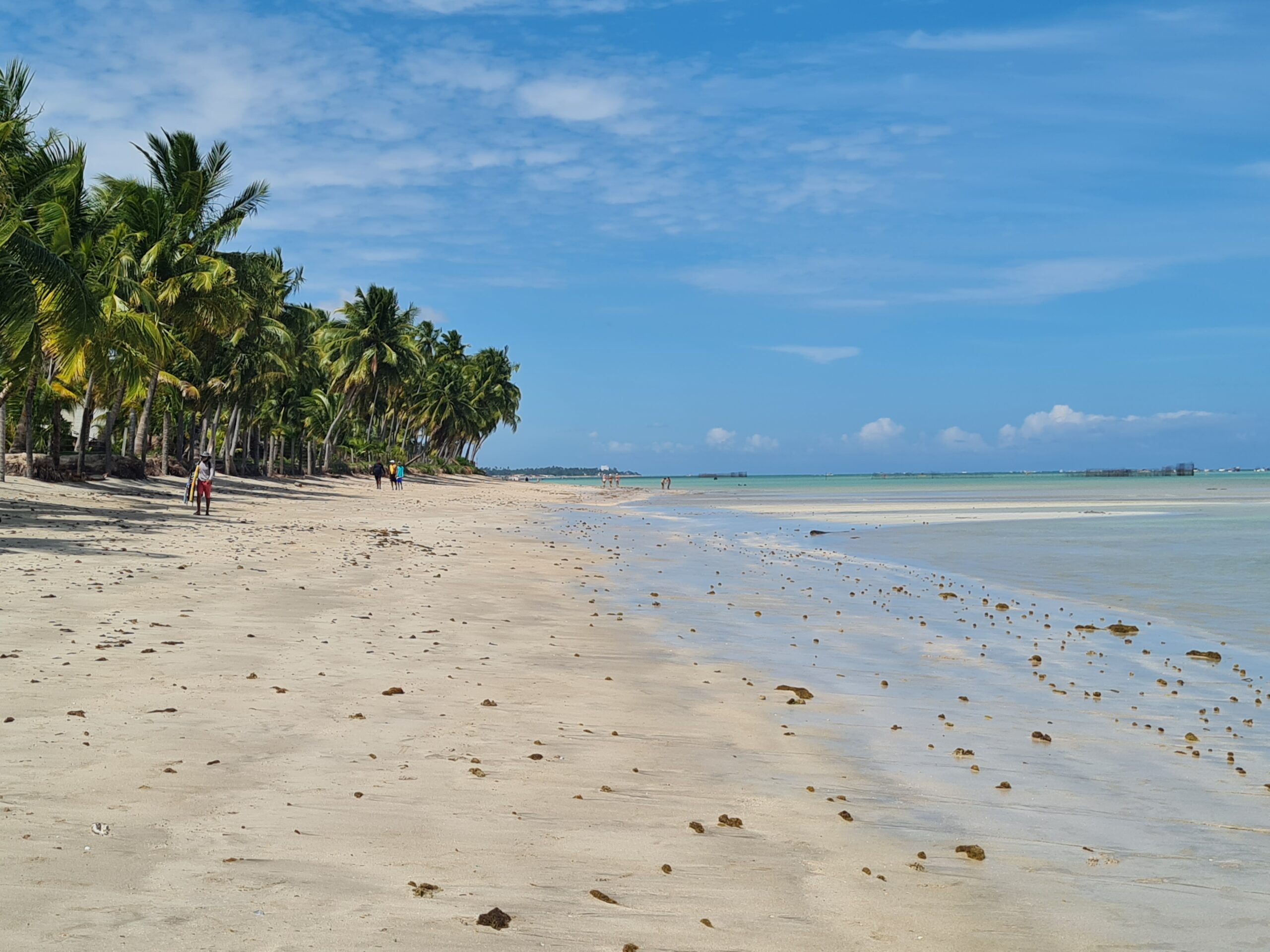 No momento, você está visualizando Praia Xareu