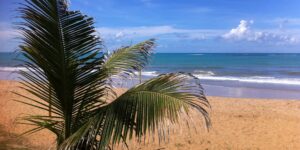 Praia de Pajuçara