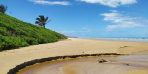 Praia do Japu